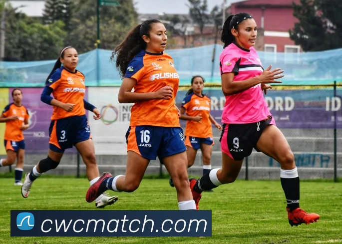 App Interface Preview